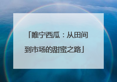 睢宁西瓜：从田间到市场的甜蜜之路