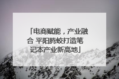 电商赋能，产业融合 平阳腾蛟打造笔记本产业新高地