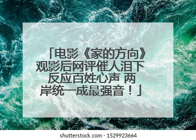 电影《家的方向》观影后网评催人泪下 反应百姓心声 两岸统一成最强音！