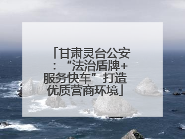 甘肃灵台公安：“法治盾牌+服务快车”打造优质营商环境