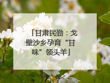 甘肃民勤：戈壁沙乡孕育“甘味”领头羊