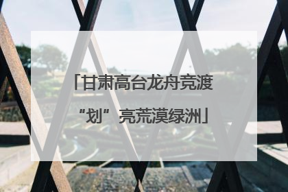 甘肃高台龙舟竞渡“划”亮荒漠绿洲