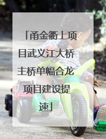 甬金衢上项目武义江大桥主桥单幅合龙 项目建设提速