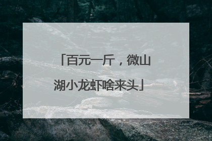 百元一斤，微山湖小龙虾啥来头