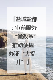 盐城盐都：审前服务“微改革” 推动便捷办证“大提升”