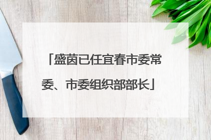 盛茵已任宜春市委常委、市委组织部部长