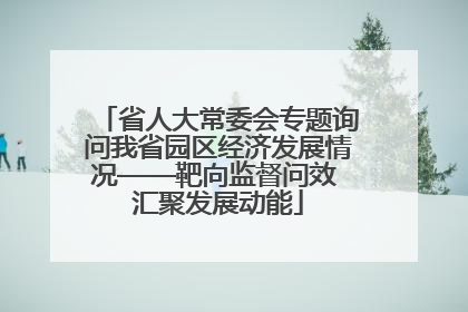 省人大常委会专题询问我省园区经济发展情况——靶向监督问效 汇聚发展动能