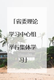 省委理论学习中心组举行集体学习