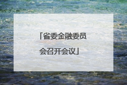省委金融委员会召开会议