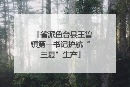 省派鱼台县王鲁镇第一书记护航“三夏”生产
