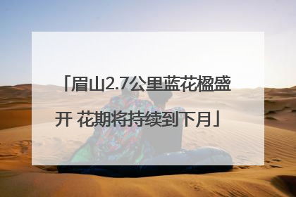 眉山2.7公里蓝花楹盛开 花期将持续到下月