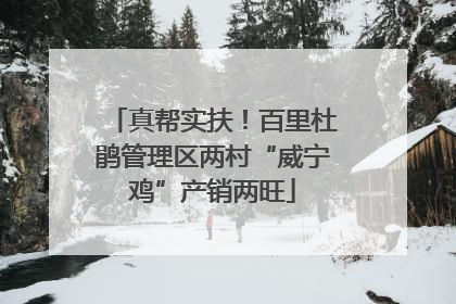 真帮实扶！百里杜鹃管理区两村“威宁鸡”产销两旺