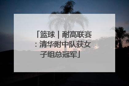 篮球｜耐高联赛：清华附中队获女子组总冠军