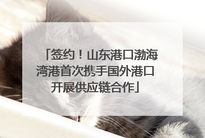 签约！山东港口渤海湾港首次携手国外港口开展供应链合作
