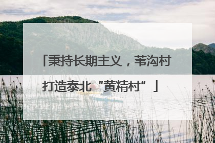 秉持长期主义，苇沟村打造泰北“黄精村”