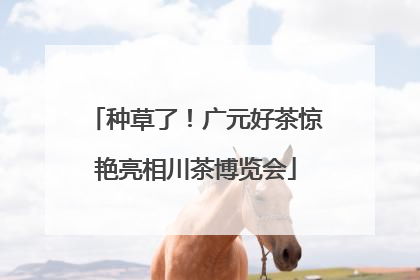 种草了！广元好茶惊艳亮相川茶博览会
