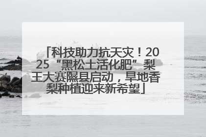 科技助力抗天灾！2025“黑松土活化肥”梨王大赛隰县启动，旱地香梨种植迎来新希望
