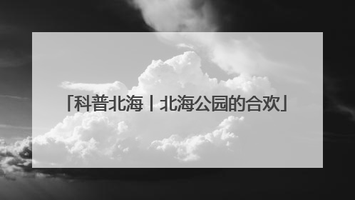 科普北海丨北海公园的合欢