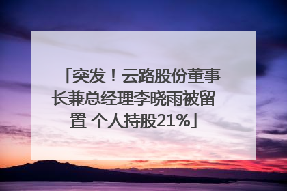突发！云路股份董事长兼总经理李晓雨被留置 个人持股21%