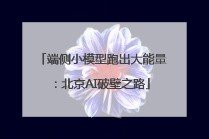 端侧小模型跑出大能量：北京AI破壁之路