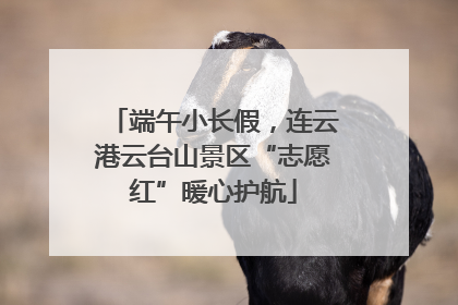 端午小长假，连云港云台山景区“志愿红”暖心护航