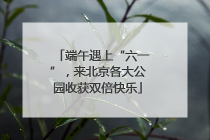 端午遇上“六一”，来北京各大公园收获双倍快乐