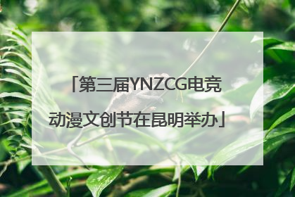 第三届YNZCG电竞动漫文创节在昆明举办