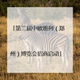 第二届中欧班列（郑州）博览会招商启动
