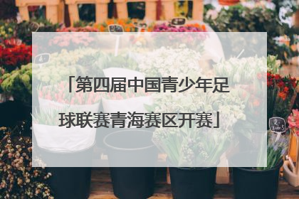 第四届中国青少年足球联赛青海赛区开赛