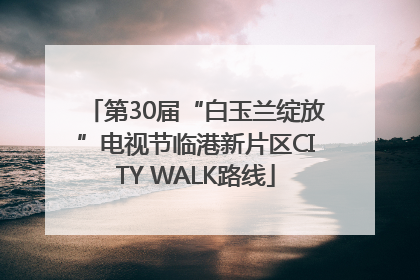 第30届“白玉兰绽放”电视节临港新片区CITY WALK路线