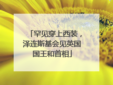 罕见穿上西装，泽连斯基会见英国国王和首相