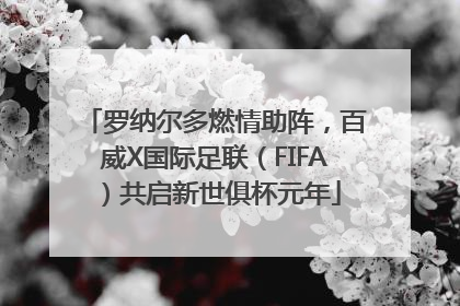 罗纳尔多燃情助阵，百威X国际足联（FIFA）共启新世俱杯元年