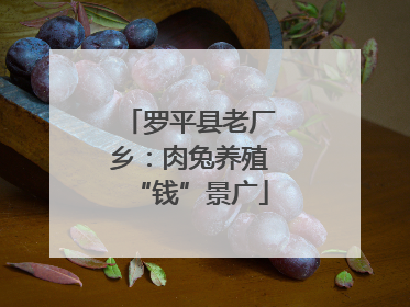 罗平县老厂乡：肉兔养殖“钱”景广