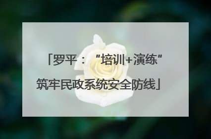 罗平：“培训+演练”筑牢民政系统安全防线