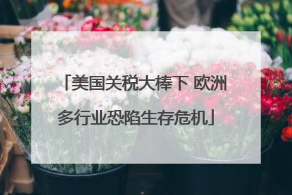 美国关税大棒下 欧洲多行业恐陷生存危机