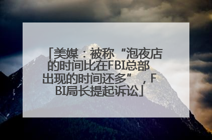美媒：被称“泡夜店的时间比在FBI总部出现的时间还多”，FBI局长提起诉讼