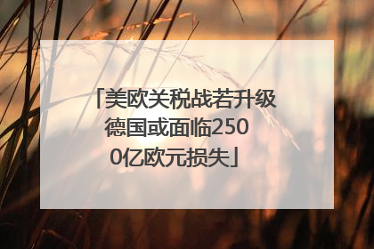 美欧关税战若升级 德国或面临2500亿欧元损失