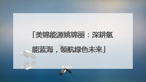 美锦能源姚锦丽：深耕氢能蓝海，领航绿色未来