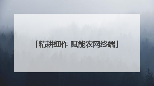 精耕细作 赋能农网终端