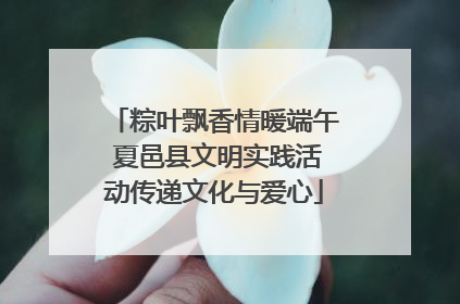 粽叶飘香情暖端午 夏邑县文明实践活动传递文化与爱心