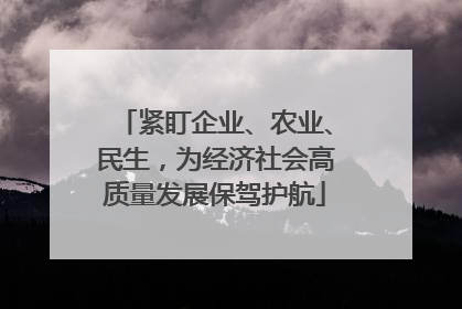 紧盯企业、农业、民生，为经济社会高质量发展保驾护航