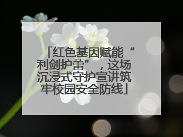 红色基因赋能“利剑护蕾”，这场沉浸式守护宣讲筑牢校园安全防线