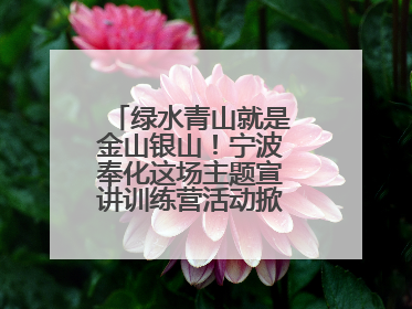 绿水青山就是金山银山！宁波奉化这场主题宣讲训练营活动掀起青春热潮