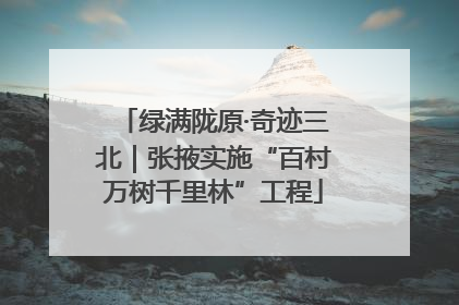 绿满陇原·奇迹三北｜张掖实施“百村万树千里林”工程