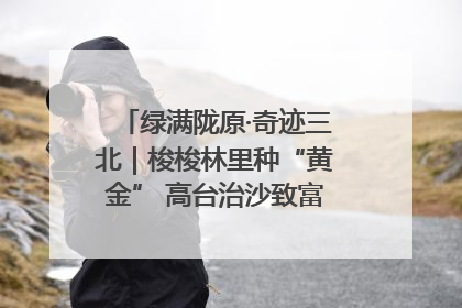 绿满陇原·奇迹三北｜梭梭林里种“黄金” 高台治沙致富很“从容”