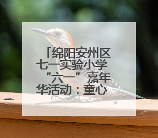 绵阳安州区七一实验小学“六一”嘉年华活动：童心筑梦，快乐成长