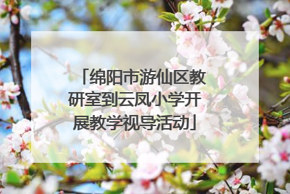 绵阳市游仙区教研室到云凤小学开展教学视导活动