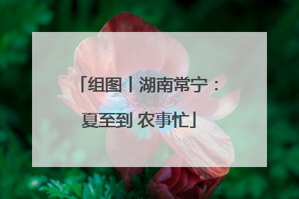 组图丨湖南常宁：夏至到 农事忙