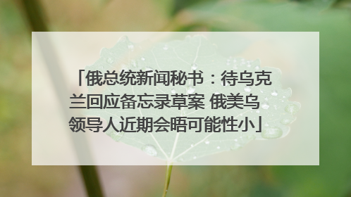 俄总统新闻秘书:待乌克兰回应备忘录草案 俄美乌领导人近期会晤可能性小