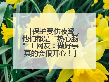 保护受伤夜鹭，他们都是“热心肠”！网友：做好事真的会很开心！